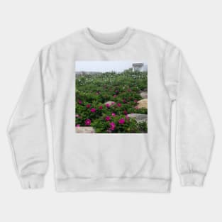 Beach Roses Crewneck Sweatshirt